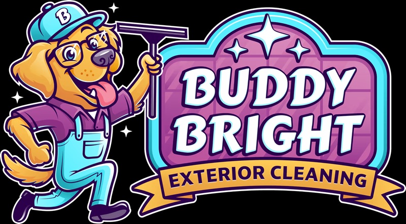 Buddy Bright Pressure Washing & Roof Cleaning